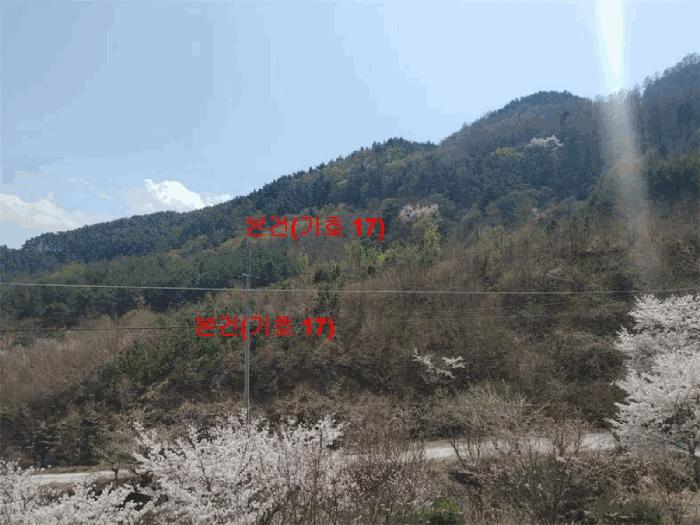 경상남도 함양군 휴천면 태관리 796 창고 경매 사진 30