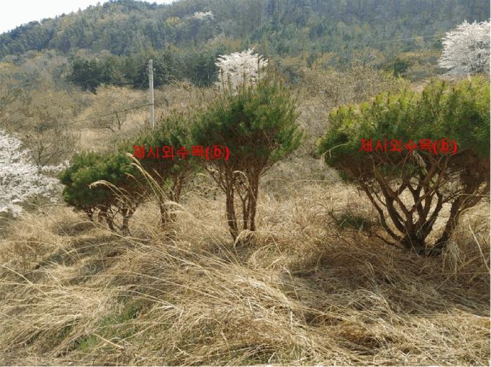 경상남도 함양군 휴천면 태관리 796 창고 경매 사진 36