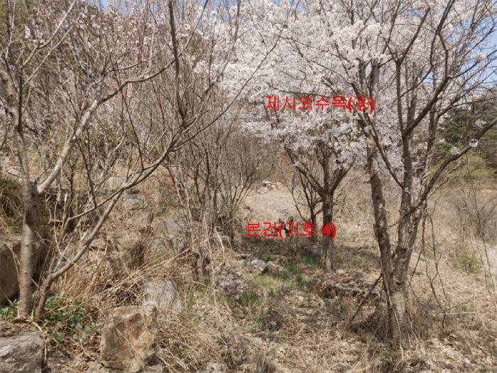 경상남도 함양군 휴천면 태관리 796 창고 경매 사진 37