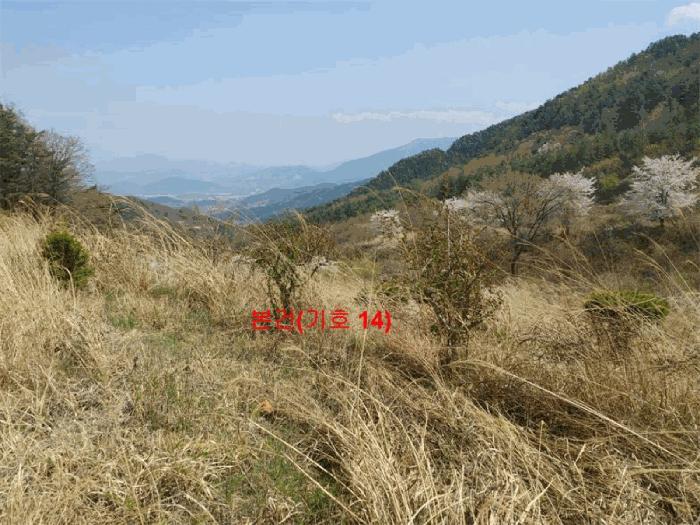 경상남도 함양군 휴천면 태관리 796 창고 경매 사진 41