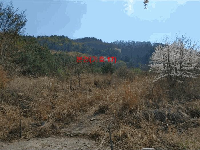 경상남도 함양군 휴천면 태관리 796 창고 경매 사진 42