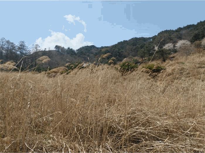 경상남도 함양군 휴천면 태관리 796 창고 경매 사진 5