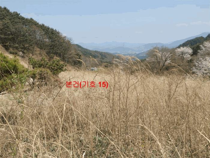 경상남도 함양군 휴천면 태관리 796 창고 경매 사진 6