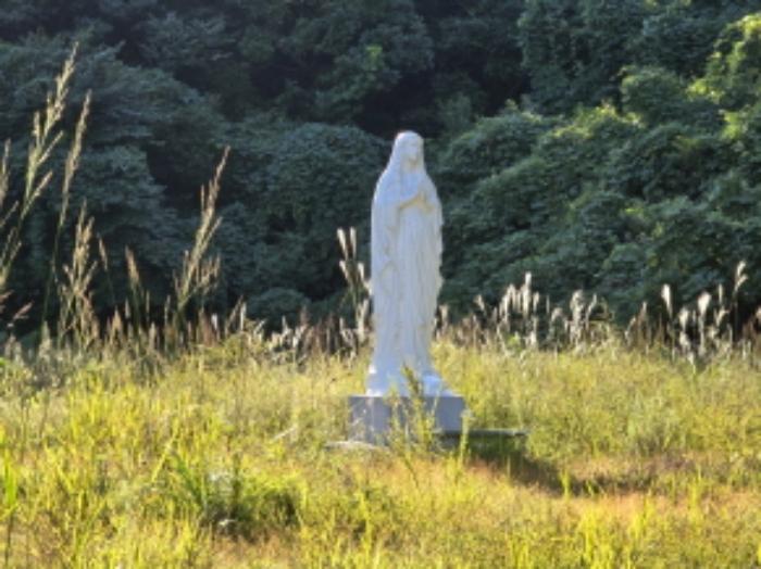 경상남도 함양군 휴천면 태관리 796 창고 경매 사진 61