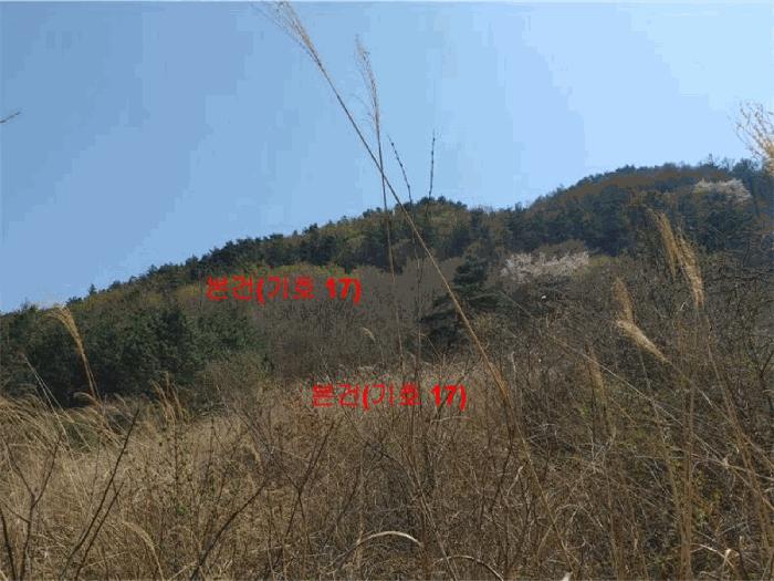 경상남도 함양군 휴천면 태관리 796 창고 경매 사진 7