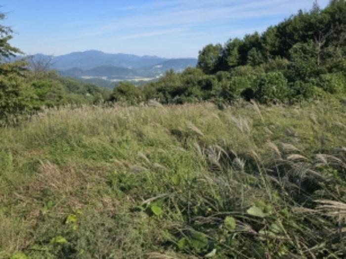 경상남도 함양군 휴천면 태관리 796 창고 경매 사진 75