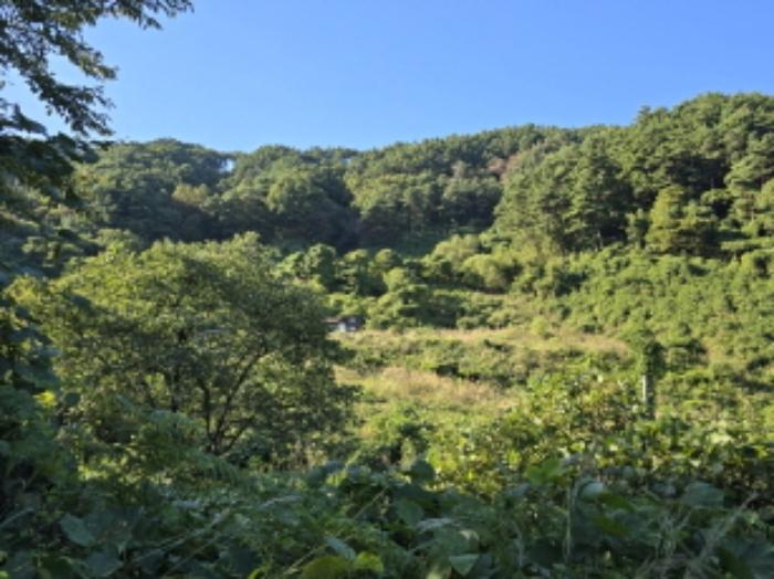 경상남도 함양군 휴천면 태관리 796 창고 경매 사진 77