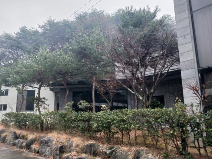 광주광역시 북구 망월동 244 주택 경매 사진 5