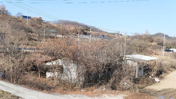경상남도 합천군 삼가면 소오리 238 전 경매 사진 8