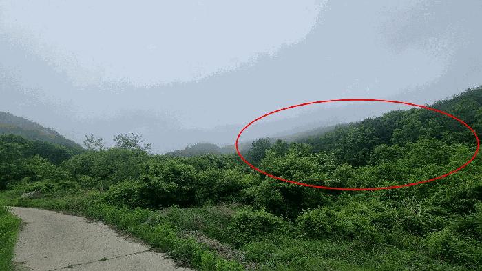 경상남도 거창군 신원면 대현리 642 답 경매 사진 1