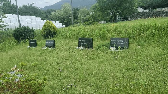 경상남도 거창군 신원면 대현리 642 답 경매 사진 3