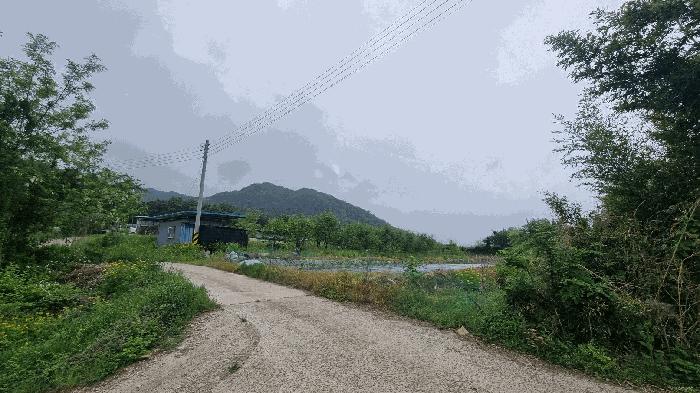 경상남도 거창군 신원면 대현리 642 답 경매 사진 5