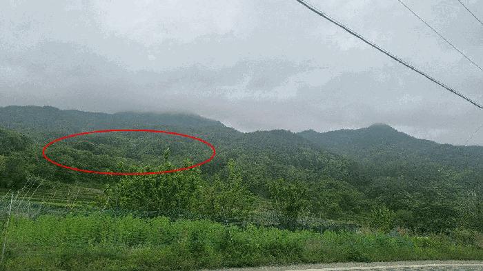 경상남도 거창군 신원면 대현리 642 답 경매 사진 8