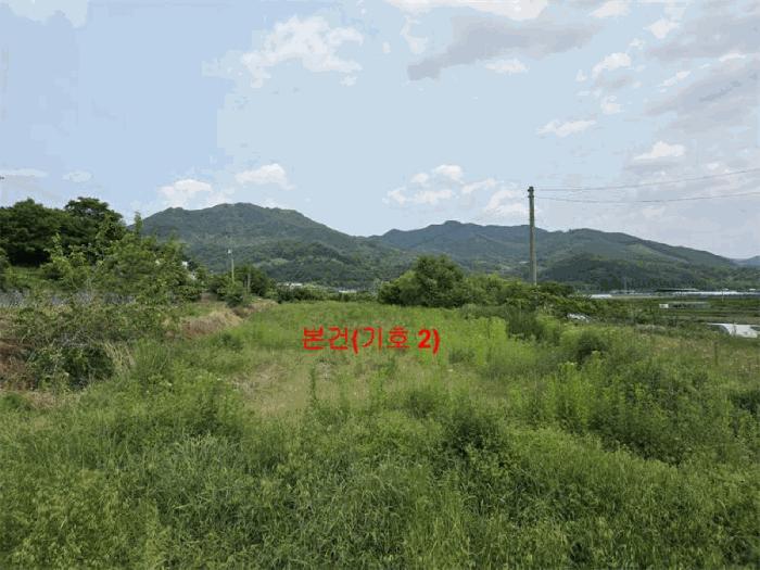 경상남도 함양군 수동면 상백리 816-1 답 경매 사진 2