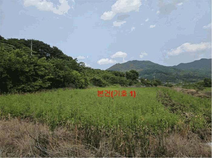 경상남도 함양군 수동면 상백리 816-1 답 경매 사진 3