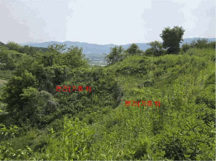 경상남도 거창군 웅양면 산포리 1497-1 전 경매 사진 2