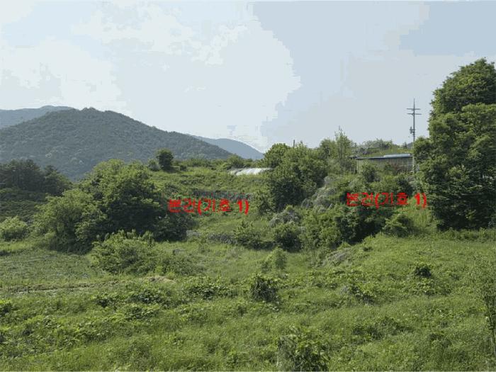 경상남도 거창군 웅양면 산포리 1497-1 전 경매 사진 3