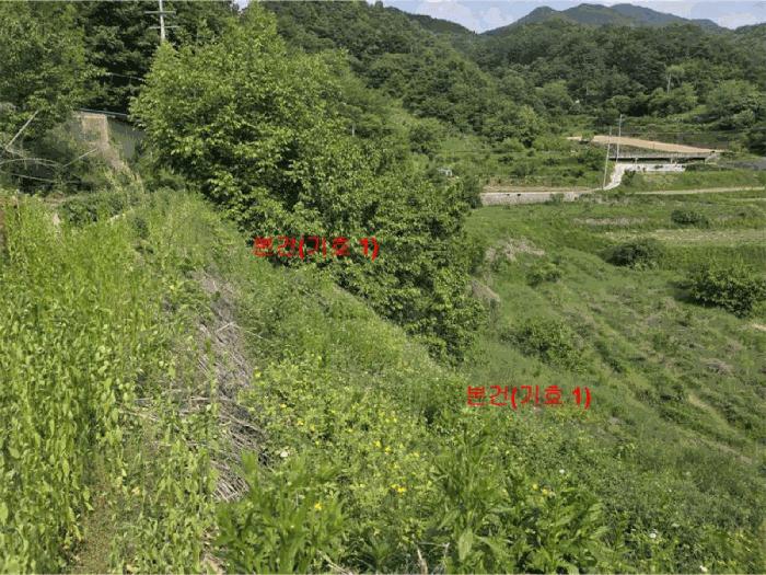 경상남도 거창군 웅양면 산포리 1497-1 전 경매 사진 4