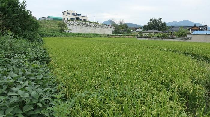 경상남도 거창군 가조면 동례리 418 전 경매 사진 4