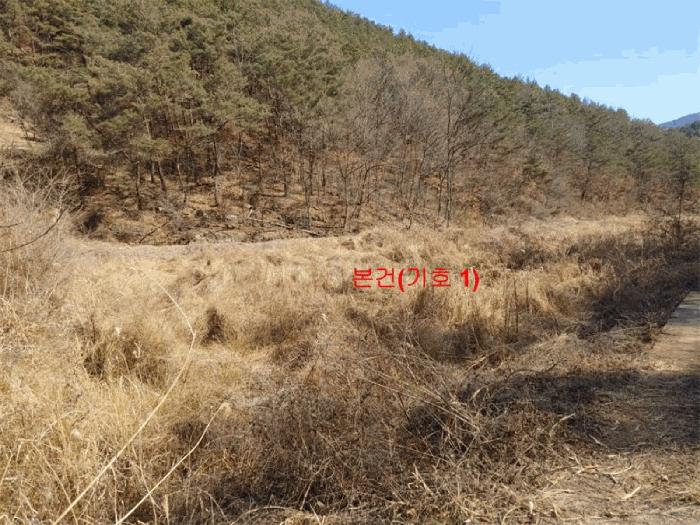 경상남도 합천군 율곡면 문림리 671 답 경매 사진 5