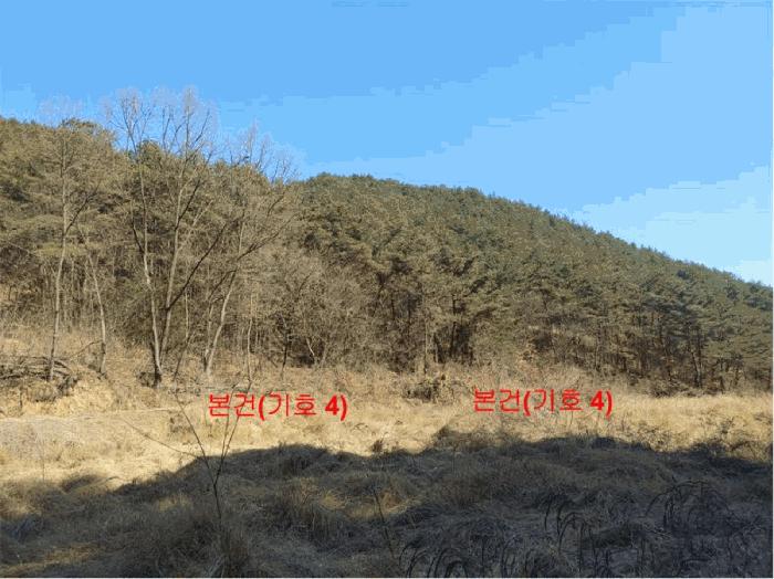 경상남도 합천군 율곡면 문림리 672 답 경매 사진 13