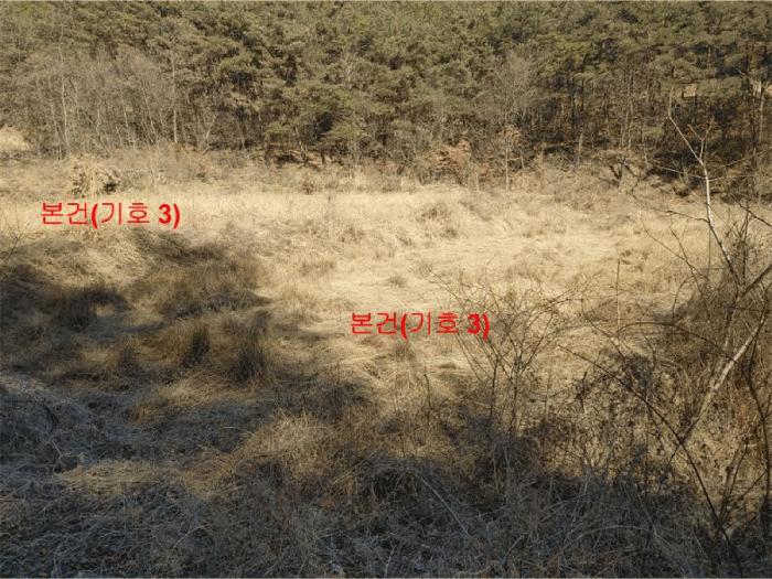 경상남도 합천군 율곡면 문림리 672 답 경매 사진 7