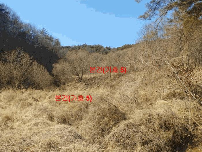 경상남도 합천군 율곡면 문림리 673 답 경매 사진 9
