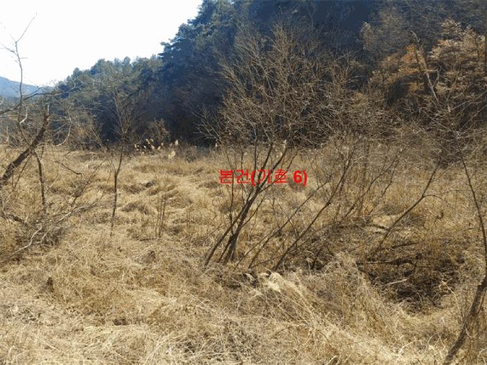 경상남도 합천군 율곡면 문림리 674 전 경매 사진 2