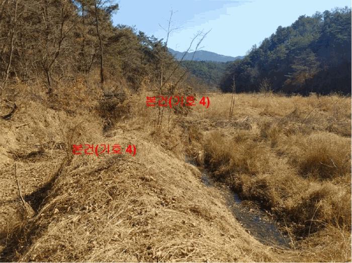 경상남도 합천군 율곡면 문림리 675 답 경매 사진 15