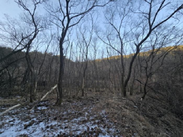 경상남도 합천군 율곡면 문림리 675 답 경매 사진 20