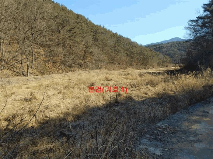 경상남도 합천군 율곡면 문림리 675-1 답 경매 사진 3