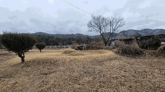 경상남도 거창군 남상면 대산리 625-1 전 경매 사진 5