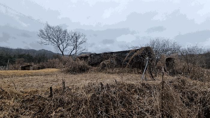 경상남도 거창군 남상면 대산리 605 대지 경매 사진 13