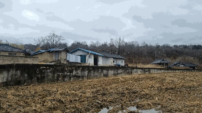 경상남도 거창군 남상면 대산리 605 대지 경매 사진 14