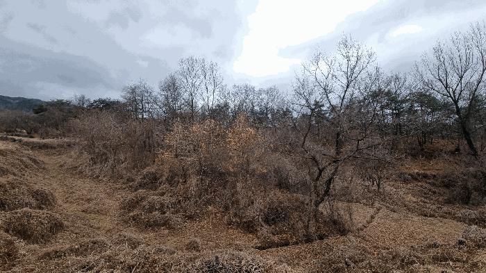 경상남도 거창군 남상면 대산리 605 대지 경매 사진 9
