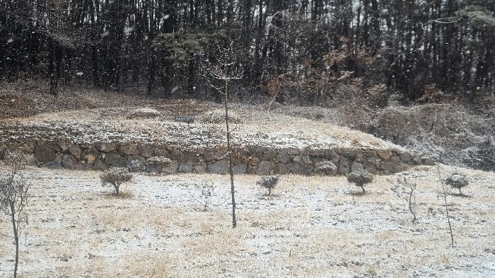 경상남도 합천군 가야면 황산리 산11-20 임야 경매 사진 12
