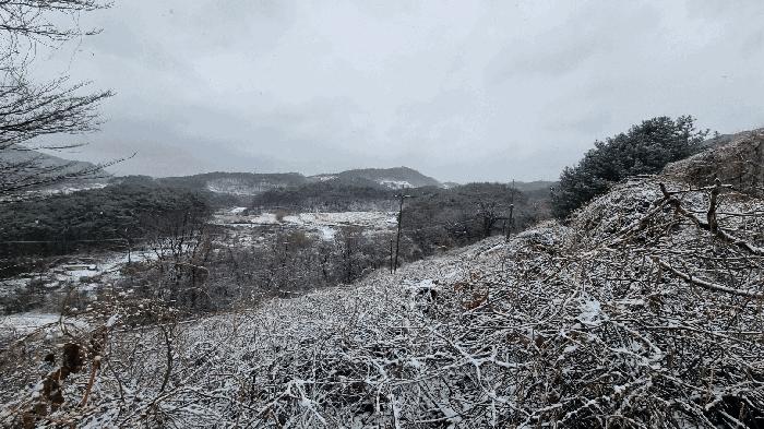 경상남도 합천군 가야면 황산리 산11-20 임야 경매 사진 13