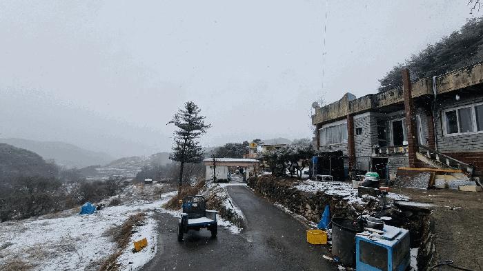 경상남도 합천군 가야면 황산리 산11-20 임야 경매 사진 14