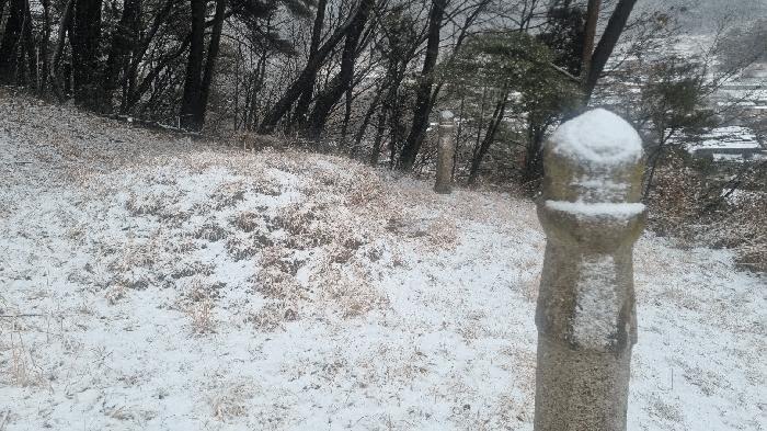 경상남도 합천군 가야면 황산리 산11-20 임야 경매 사진 2