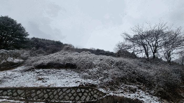 경상남도 합천군 가야면 황산리 산11-20 임야 경매 사진 22