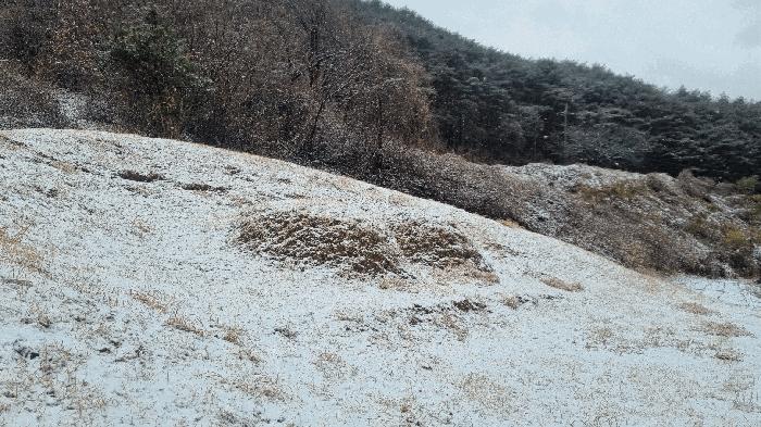 경상남도 합천군 가야면 황산리 산11-20 임야 경매 사진 25