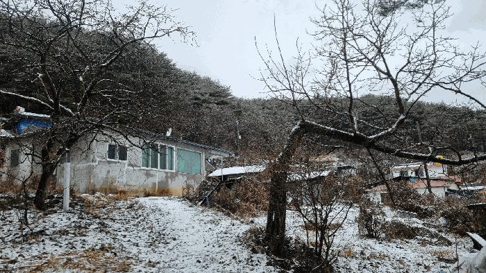 경상남도 합천군 가야면 황산리 산11-20 임야 경매 사진 29