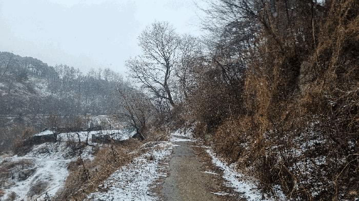 경상남도 합천군 가야면 황산리 산11-20 임야 경매 사진 34