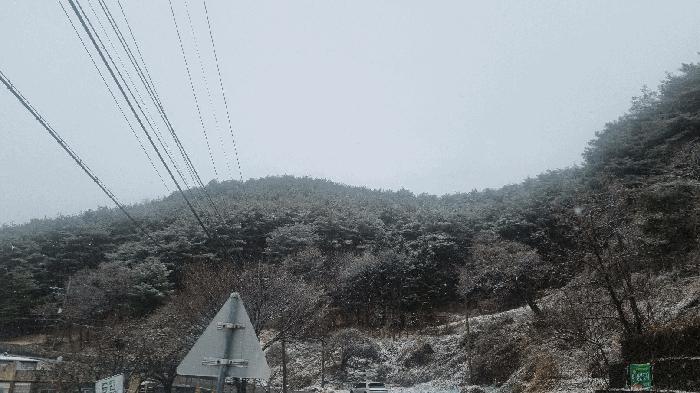 경상남도 합천군 가야면 황산리 산11-20 임야 경매 사진 36