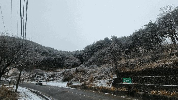 경상남도 합천군 가야면 황산리 산11-20 임야 경매 사진 42