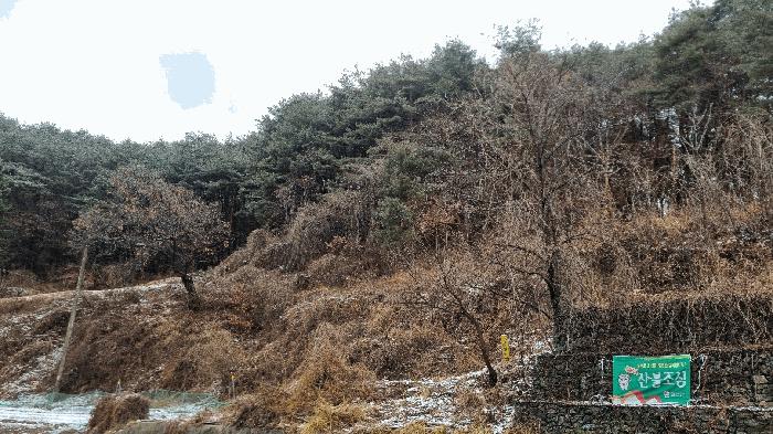 경상남도 합천군 가야면 황산리 산11-20 임야 경매 사진 49