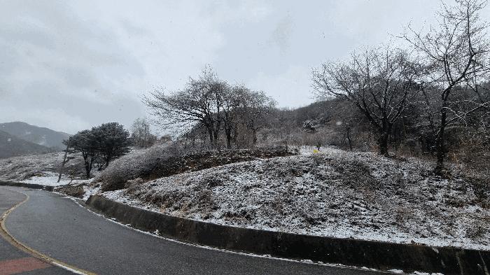 경상남도 합천군 가야면 황산리 산11-20 임야 경매 사진 52