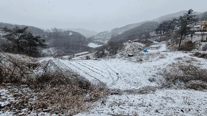 경상남도 합천군 가야면 황산리 산11-20 임야 경매 사진 53