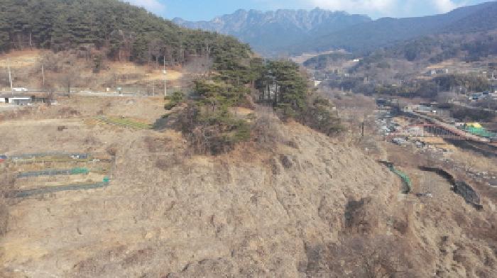 경상남도 합천군 가야면 황산리 산11-20 임야 경매 사진 54