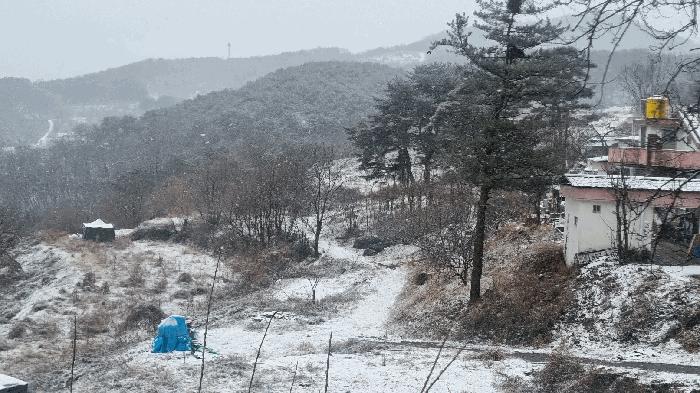 경상남도 합천군 가야면 황산리 산11-20 임야 경매 사진 7